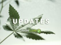 Three things to note about September’s Marijuana Pardon Project