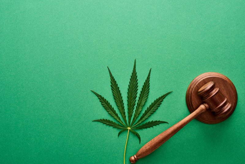 A top view of a green cannabis leaf with a wooden gavel used by a pardon attorney.