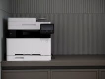 Why Everyone Should Have a Copy of Their Criminal Record